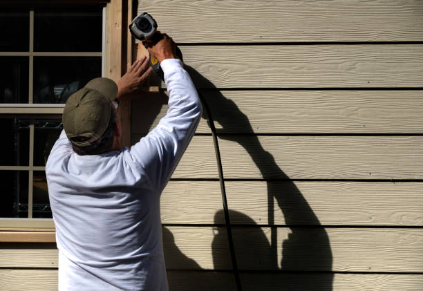 Best Insulated Siding Installation  in Horseshoe Bend, AR